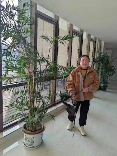 赵苏琴